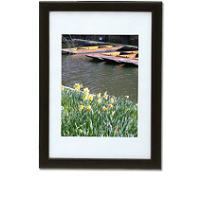 Picture Frames