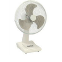 Fans