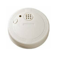 CCTV/Alarms/Detectors